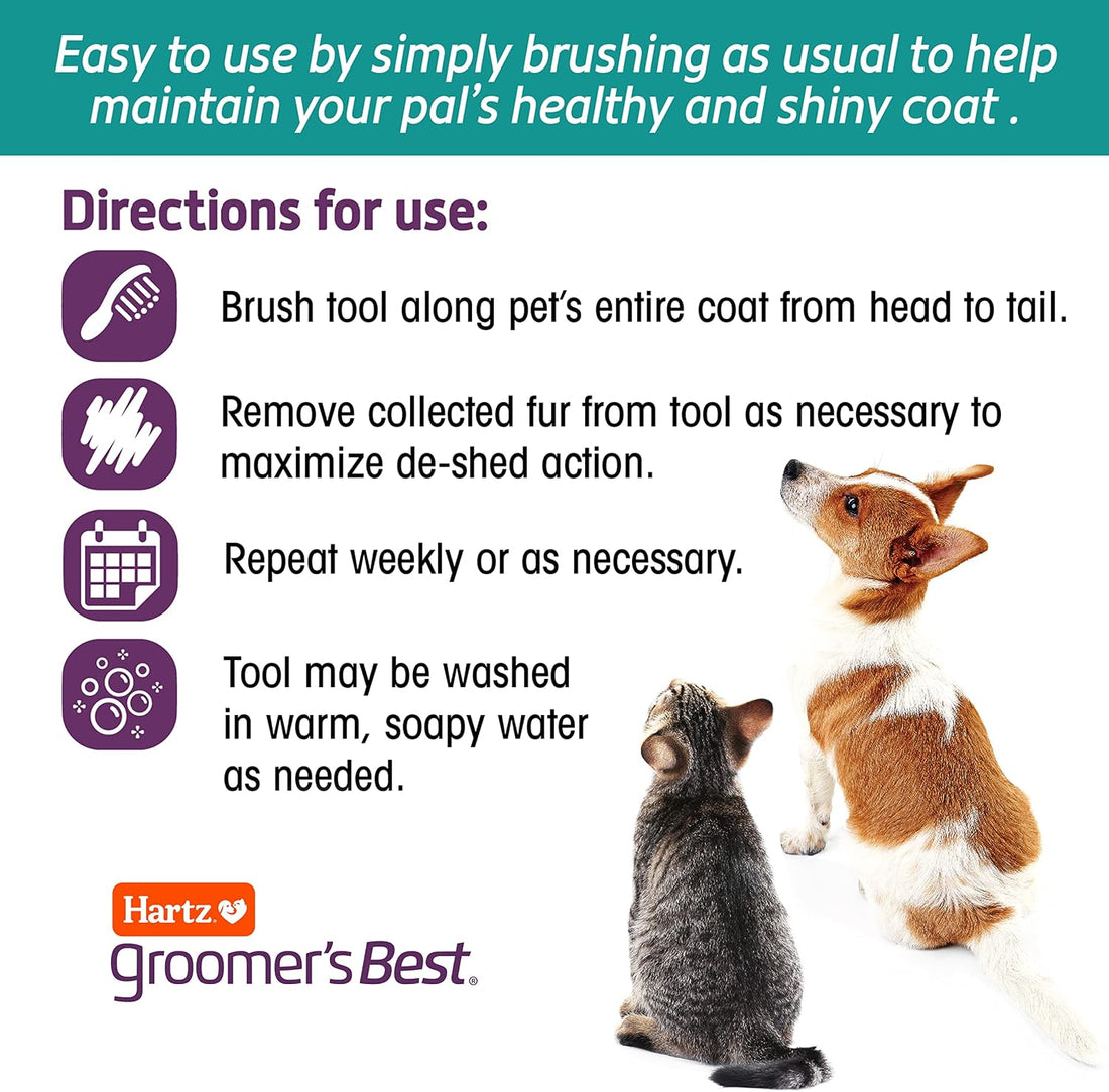 Hartz Groomer's Best Small Slicker Brush for Cats and Small Dogs, Black/Violet, 1 Count
