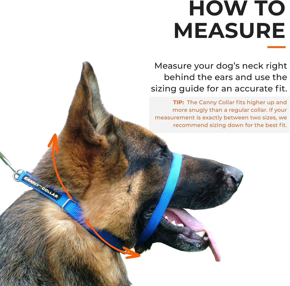 Canny Gentle No-Pull Dog Training Head Collar to Stop Pulling Black