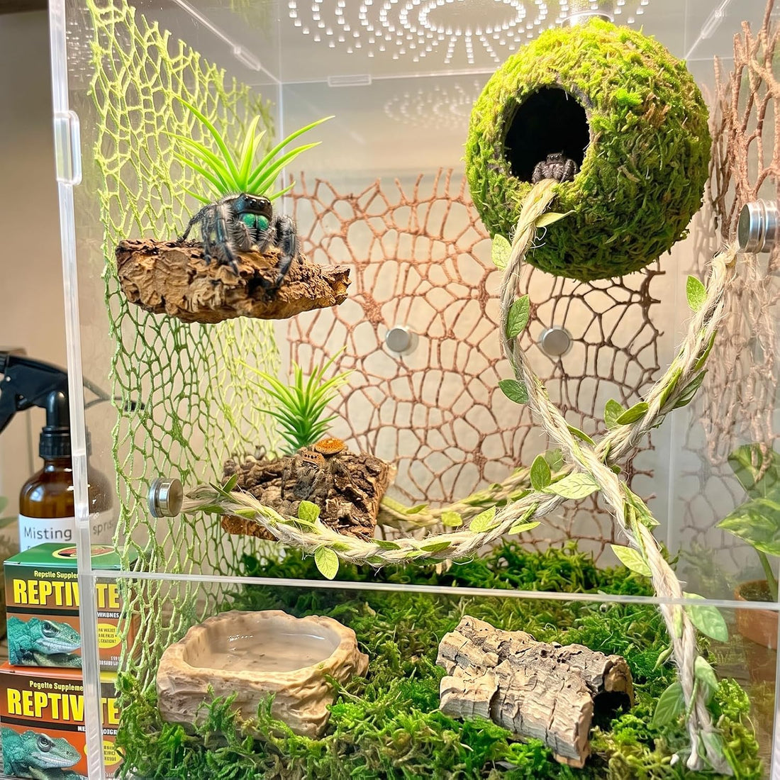 Magnetic Jumping Spider Accessories - Hideout Ball with Wood Shelter