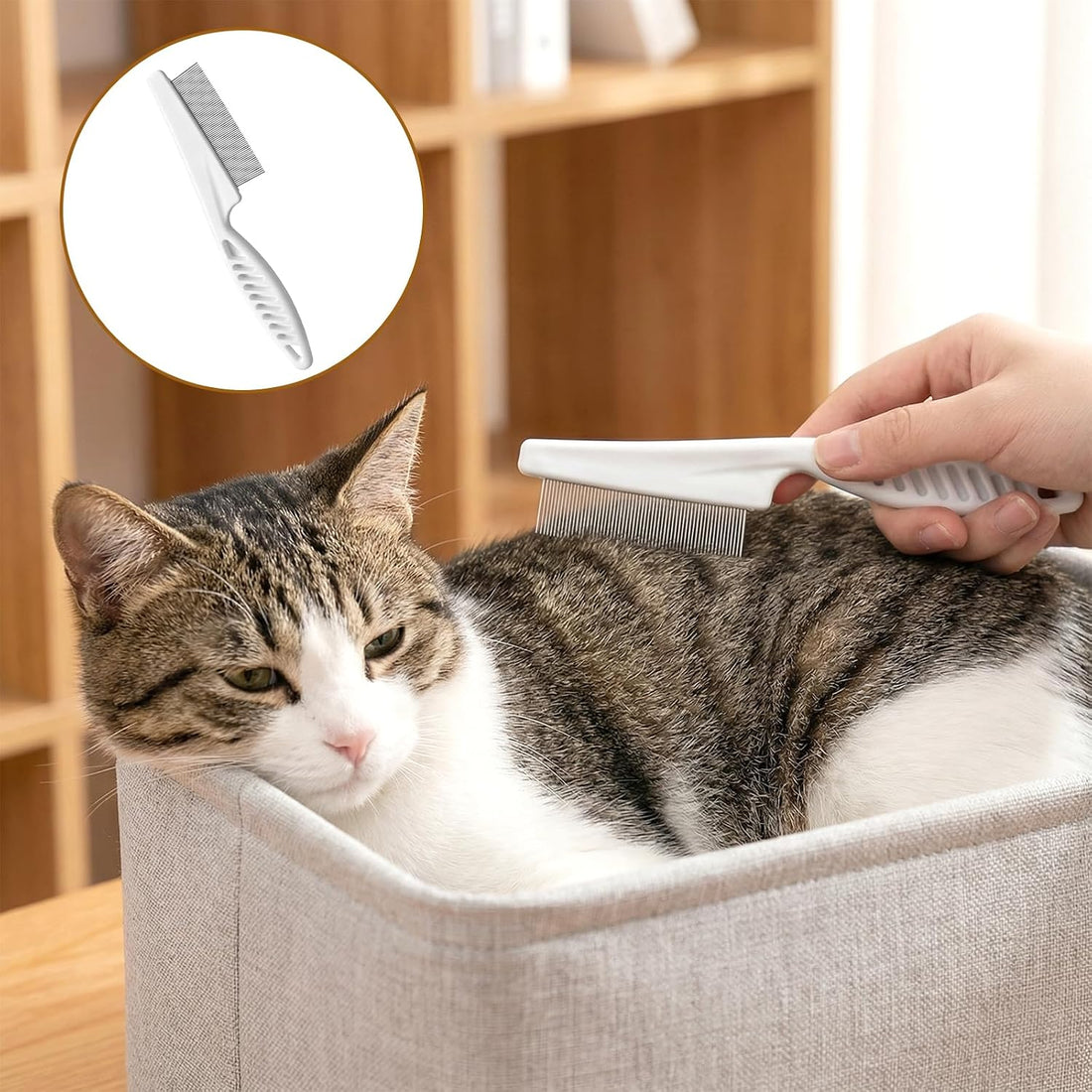 2Pcs Kitten Flea Comb, Fine-Tooth Stainless Steel Bunny Comb