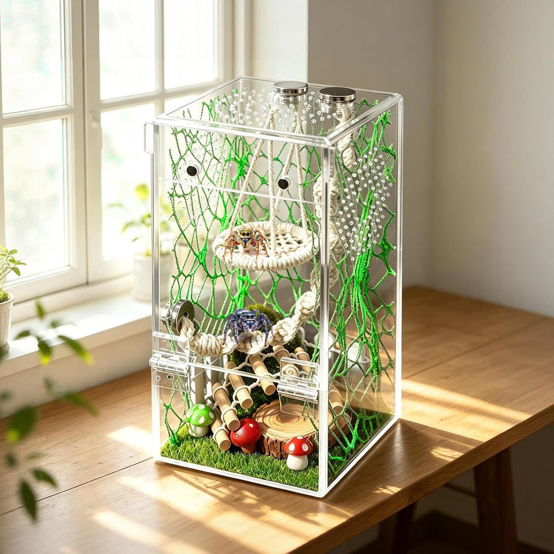 18Pcs Jumping Spider Enclosure Hammock Kit，Ventilation DIY Insects