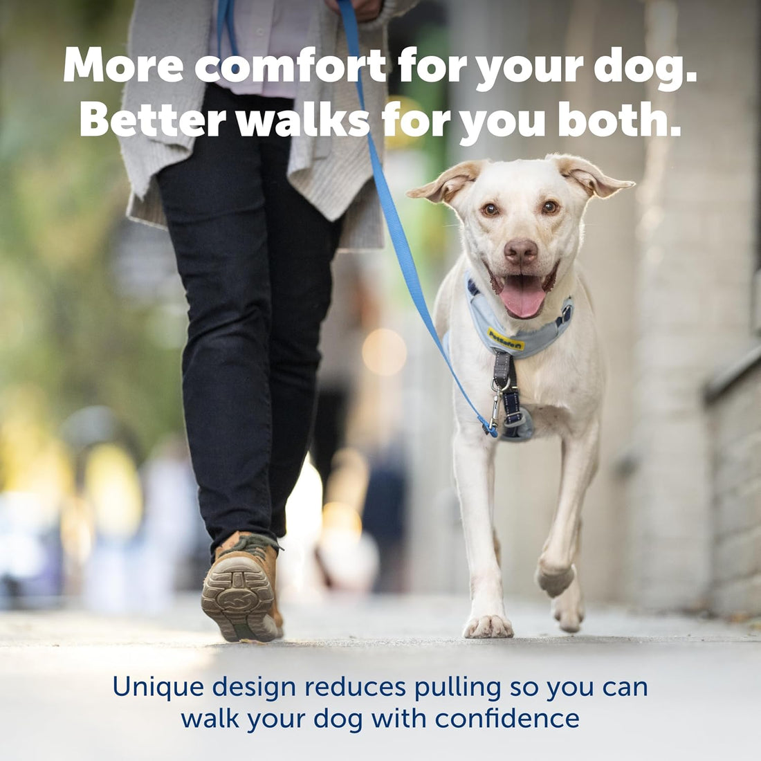 PetSafe Easy Walk Comfort No-Pull Dog Harness Full-Body Padding