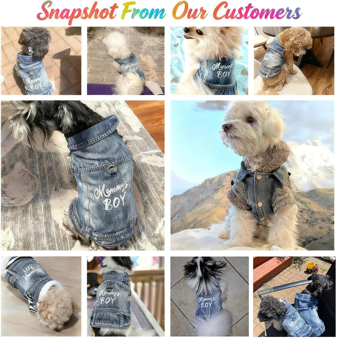 JcDuDoi Dog Jeans Jacket Mommy's Boy Denim Pet Coat for Puppy Small