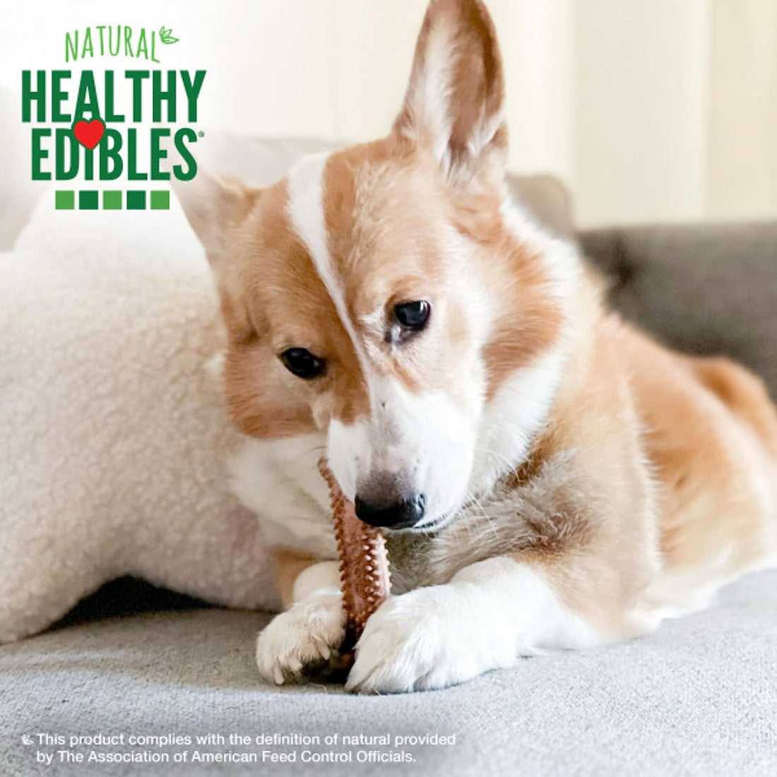 Nylabone Healthy Edibles Natural Dog Chews Long Lasting Meaty Center