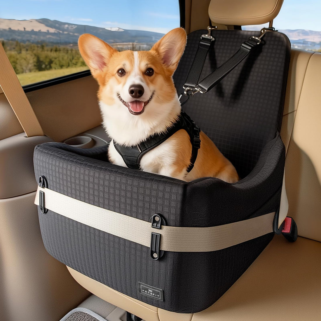 PETSFIT Dog Booster Car Seat for Small/Medium Dogs Up to 35 lbs