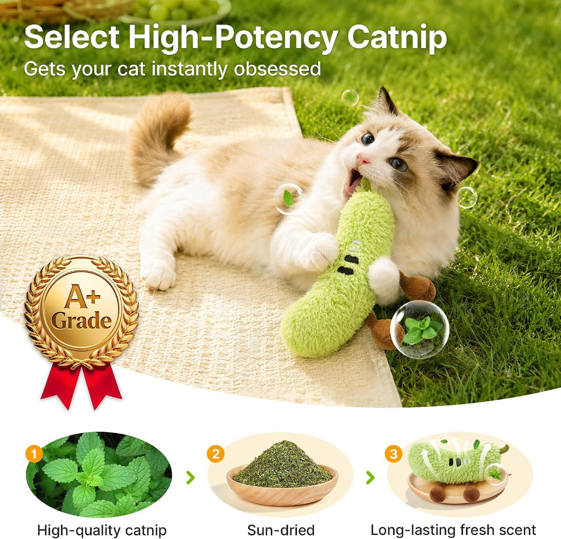 Potaroma Plush Catnip Fruit Cat Toy 2 Pack