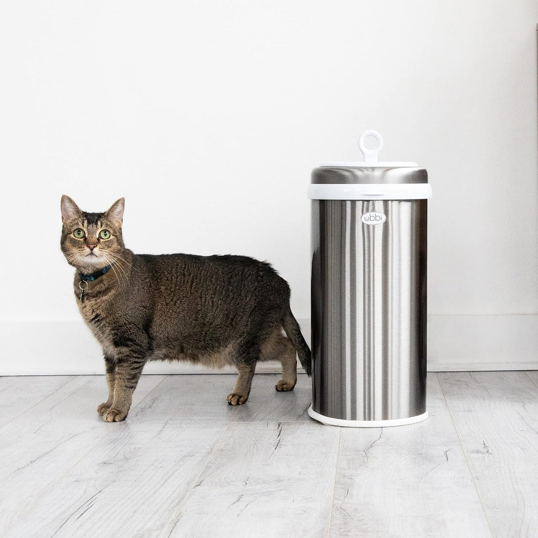 Ubbi Pet Waste Pail, Chrome