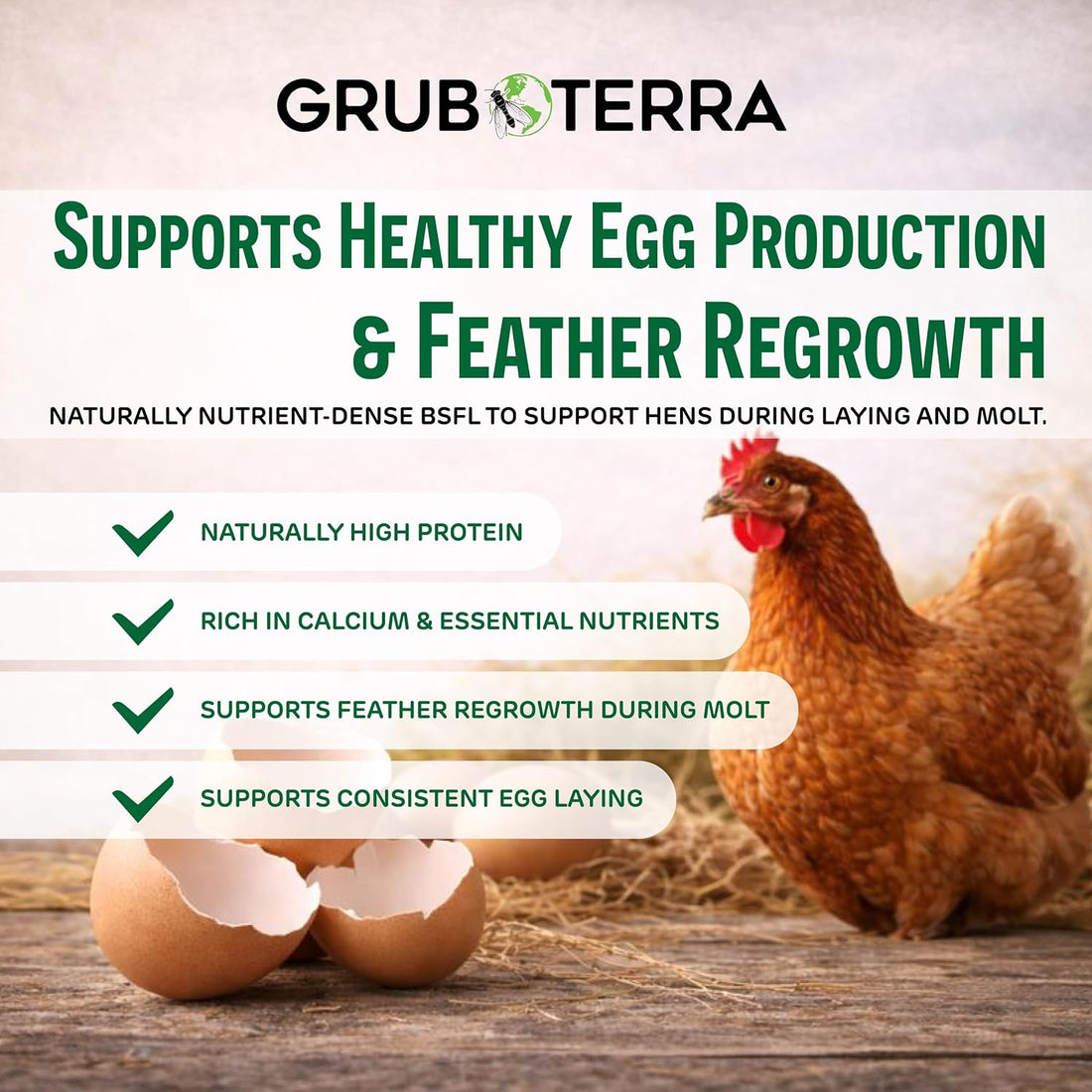 GrubTerra Black Soldier Fly Larvae for Chickens