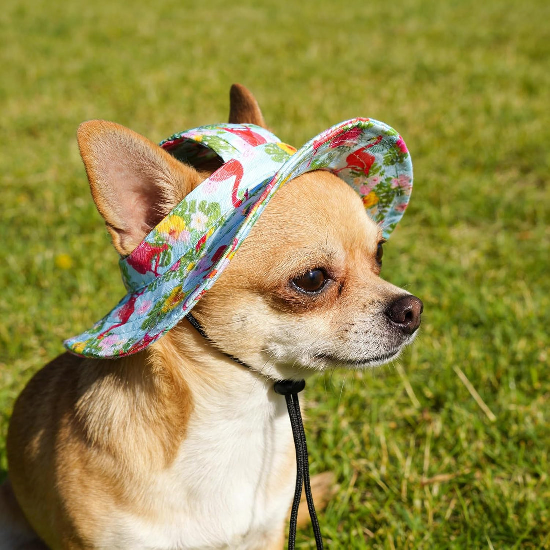 JpGdn Dog Hat for Medium Dogs with Ear Hole Round Brim Bucket Outdoor