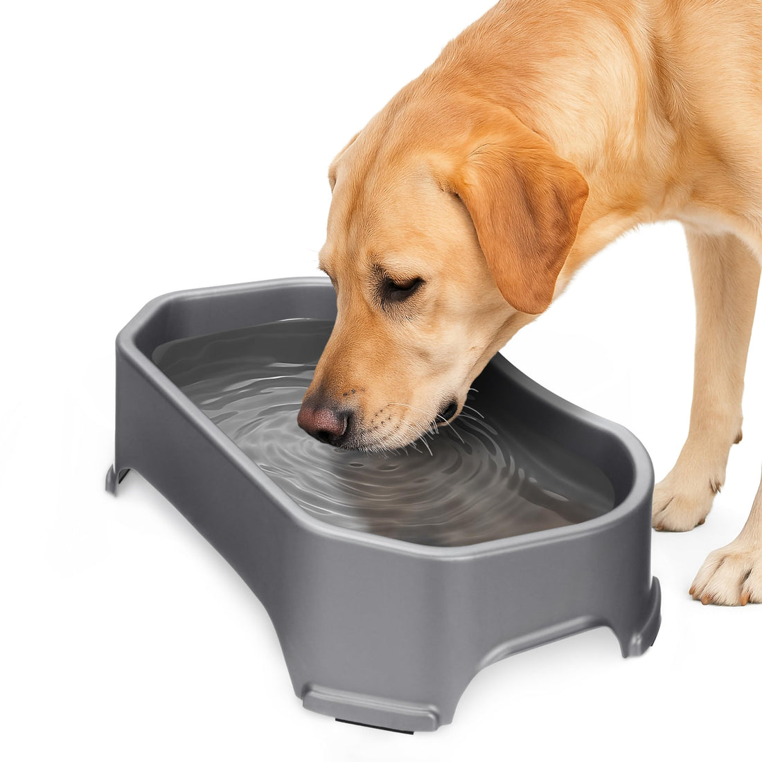 Neater Pet Brands Extra Large Water Bowl for Dogs