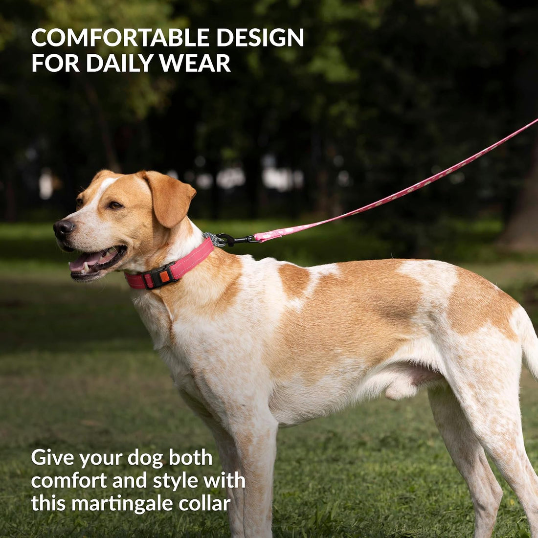 CollarDirect Martingale, Steel Chain, Reflective (L, 17-22", Pink)