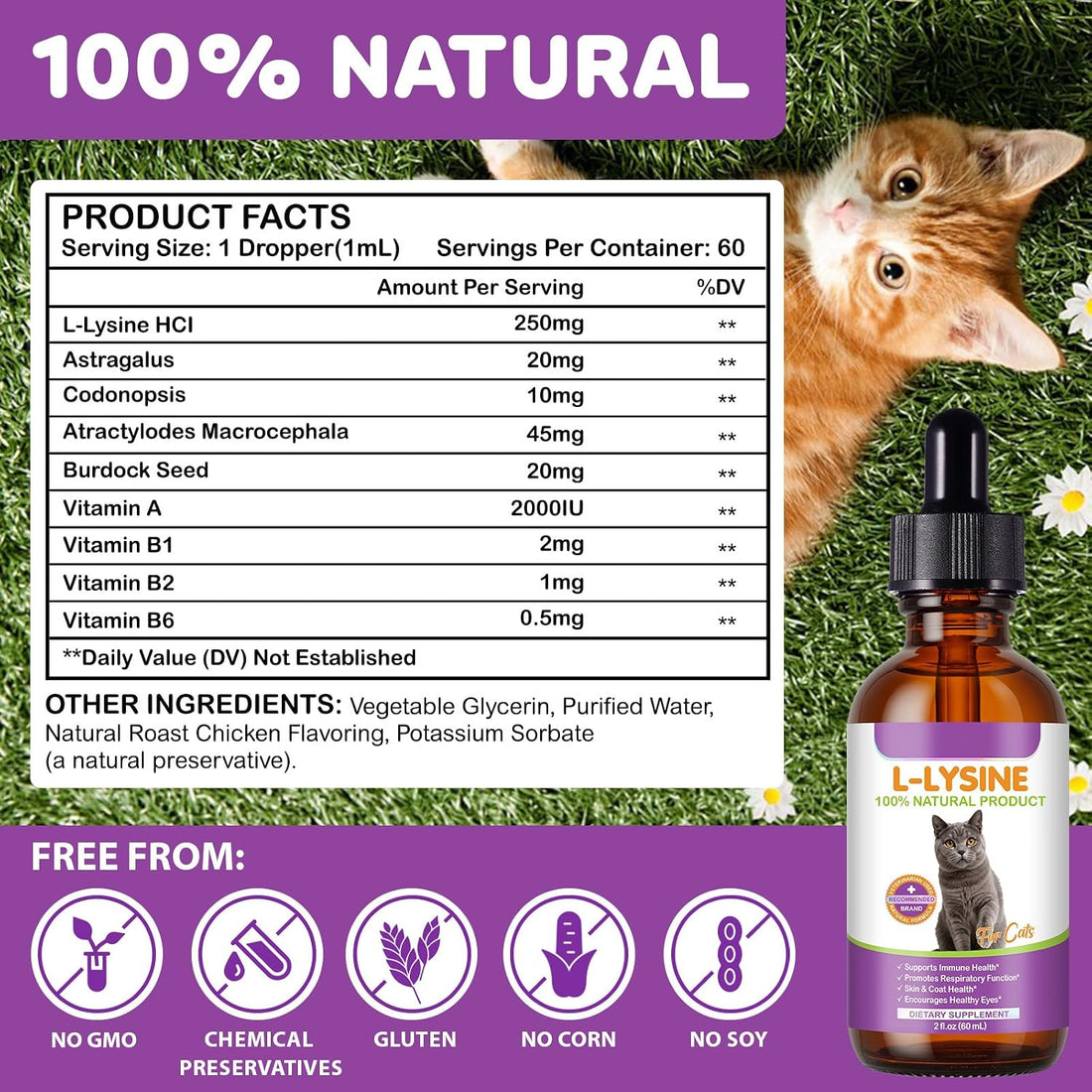 Lysine for Cats - 2 Packs Cat Lysine Drops