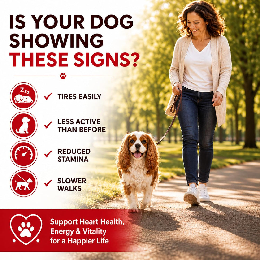 Taurine for Dogs - Heart Support Supplement, with L-Taurine