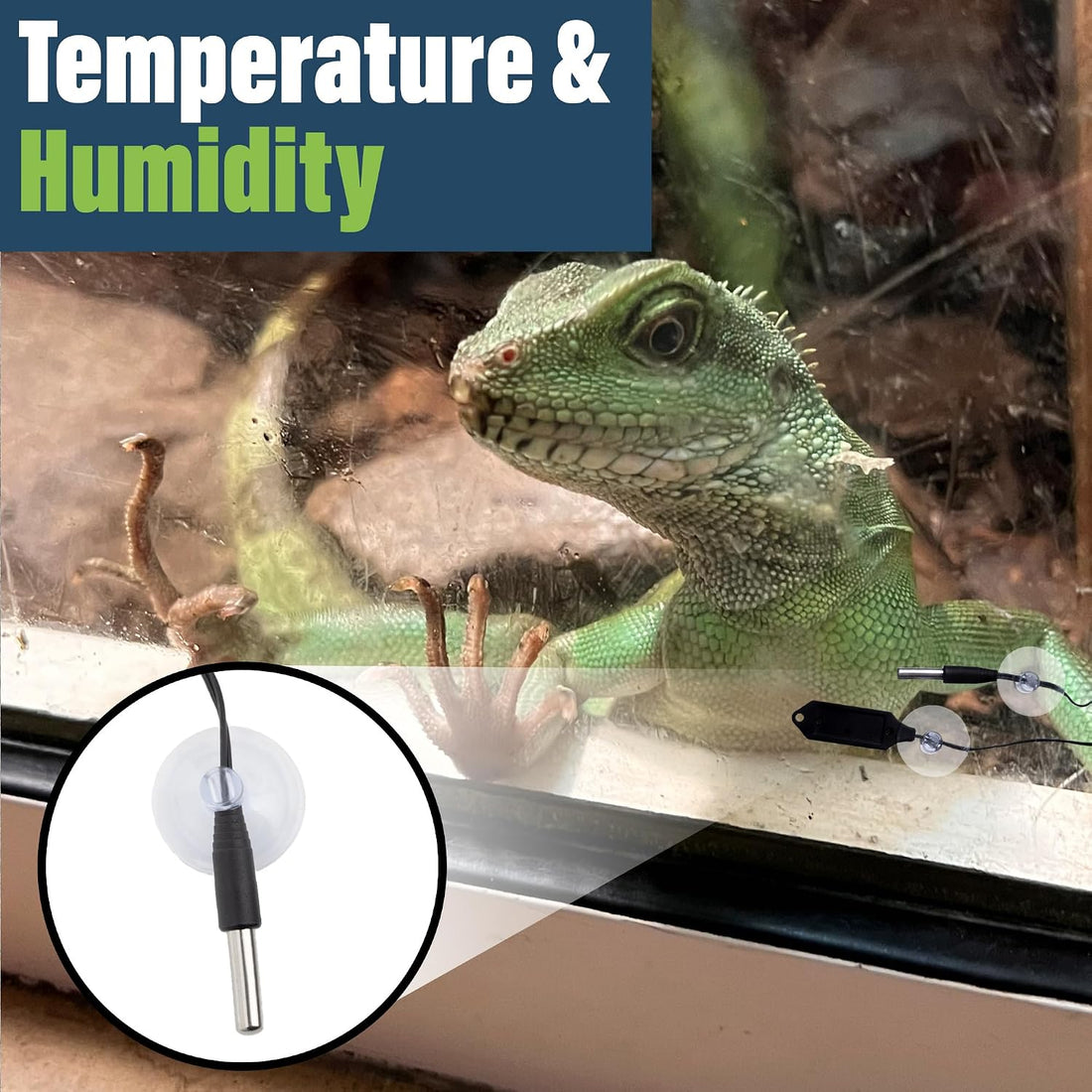 Digital Reptile Thermometer Hygrometer with 2 External Remote Probes