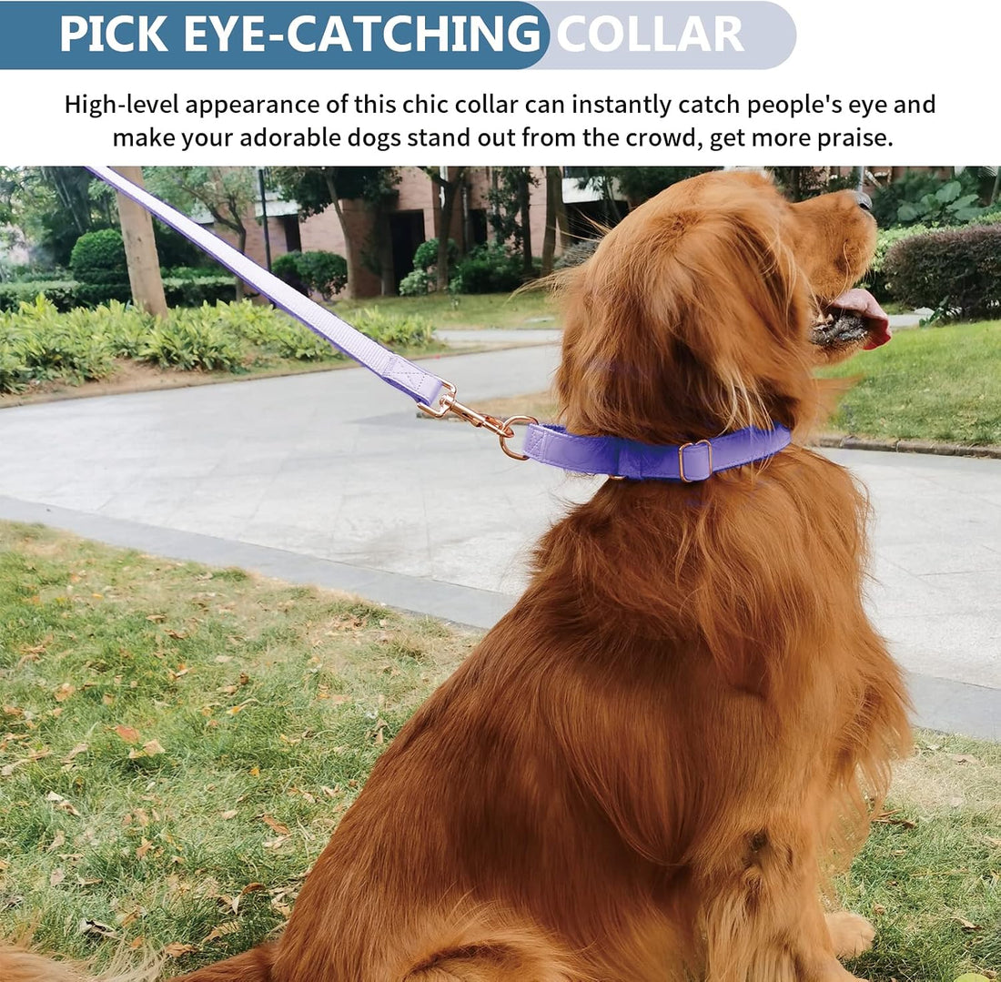 Soft Leather Martingale Dog Collar
