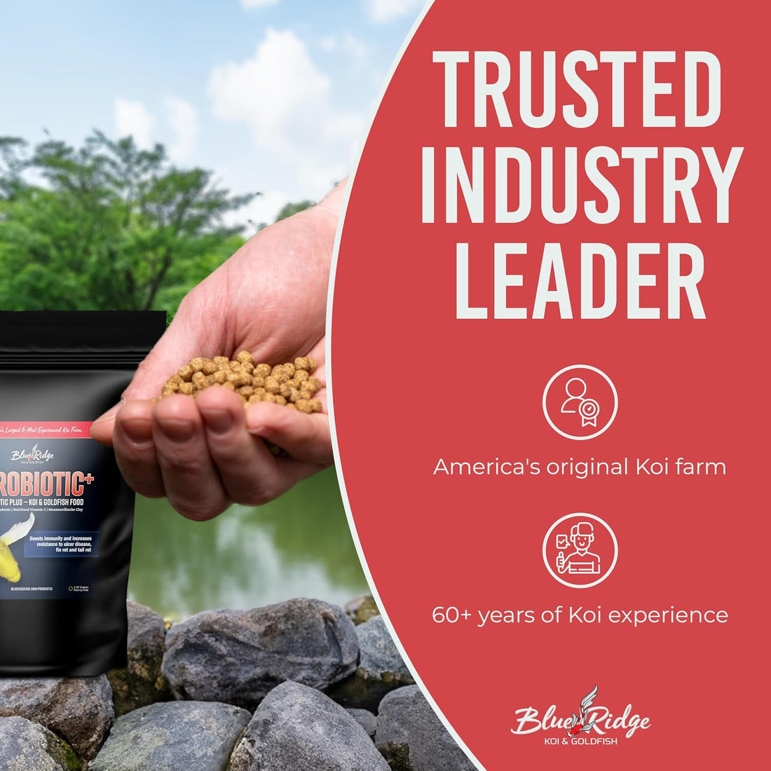 Blue Ridge Koi Fish Food, Probiotic Plus Formula, 3/16" Pellets, 5 lb