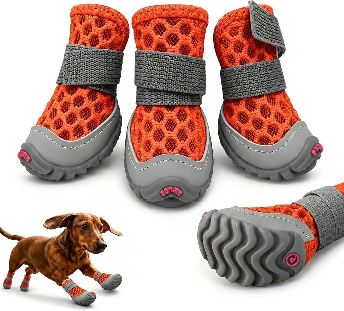Dog Shoes for Small Dogs, Puppy Boots for Hot Pavement, Blue Size 3