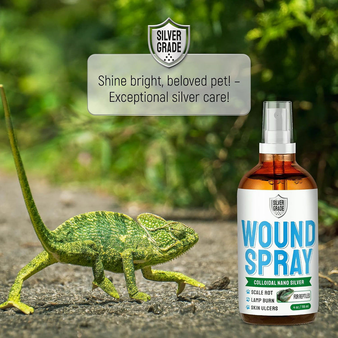 SILVER GRADE Reptile Antibiotics Mouth Rot Spray for Snakes & Lizards