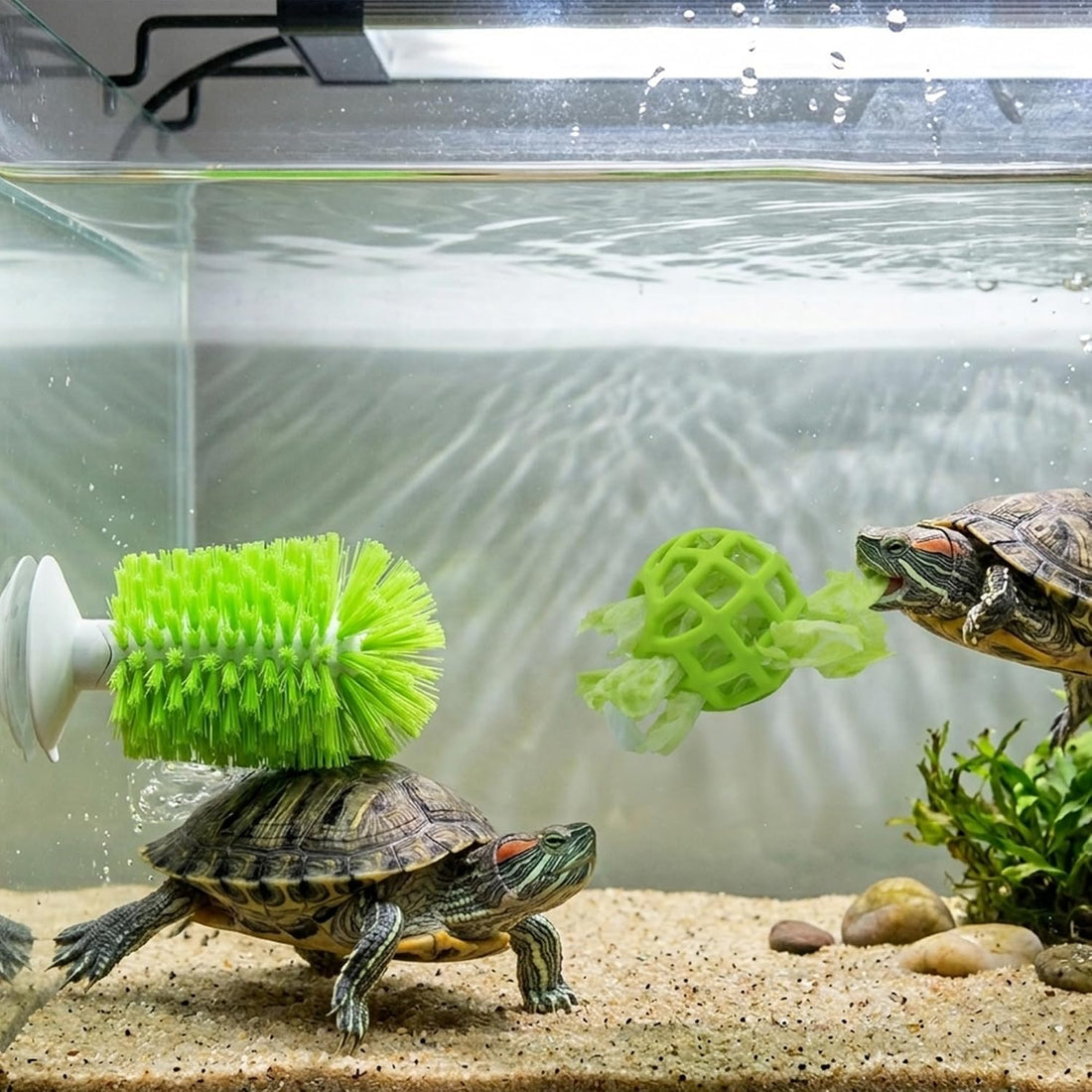 2-in-1 Turtle Brush and Feeder Ball Set, Turtle Tank Accessories