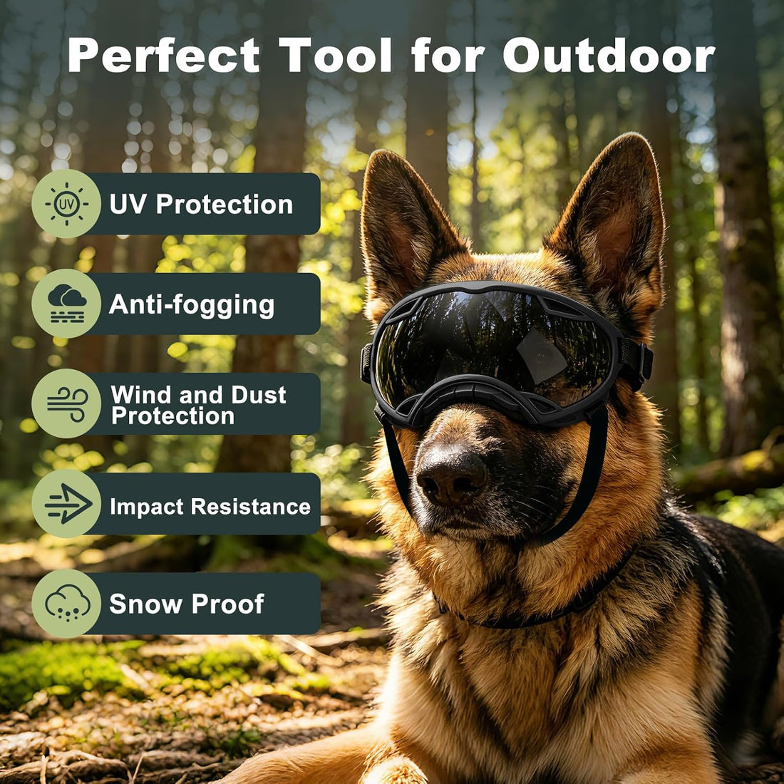UV Protection Windproof Dog Goggles for Medium Large Dogs