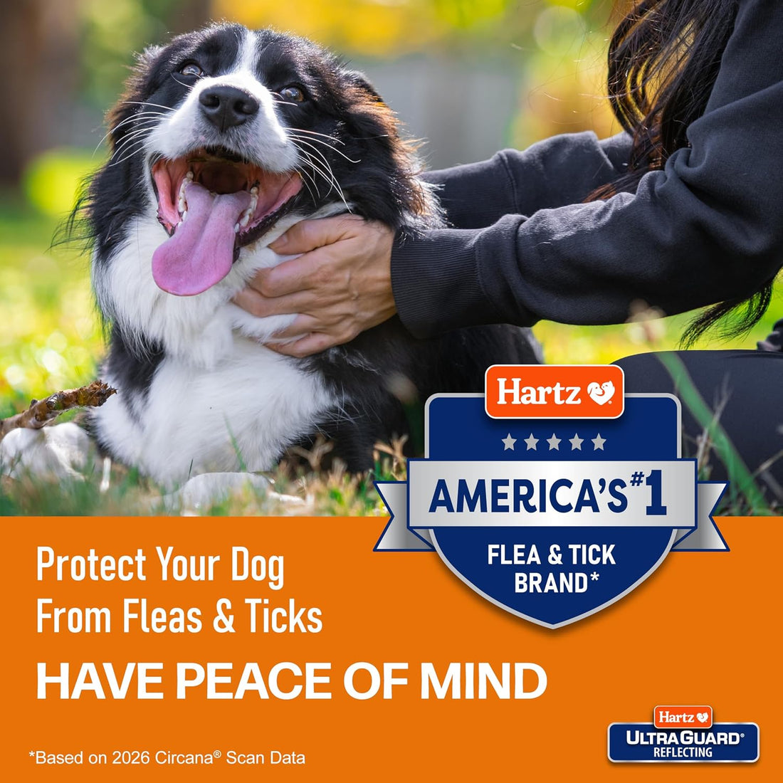Hartz UltraGuard Plus Flea & Tick Spray for Dogs
