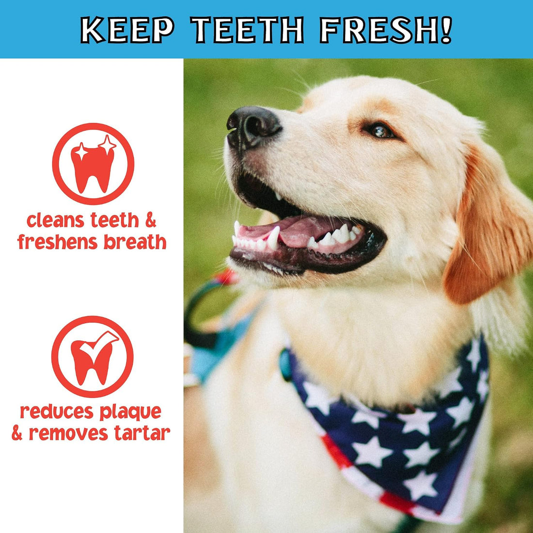 Pet Factory Twistedz American Beefhide 5" Chip Rolls Dog Chew Treats
