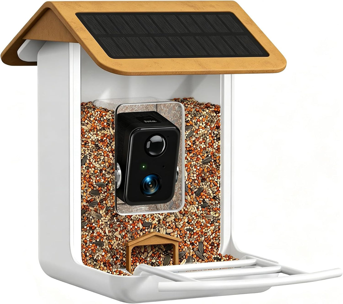 Smart Bird Feeder Camera - Free AI Forever for 1,1000+ Species