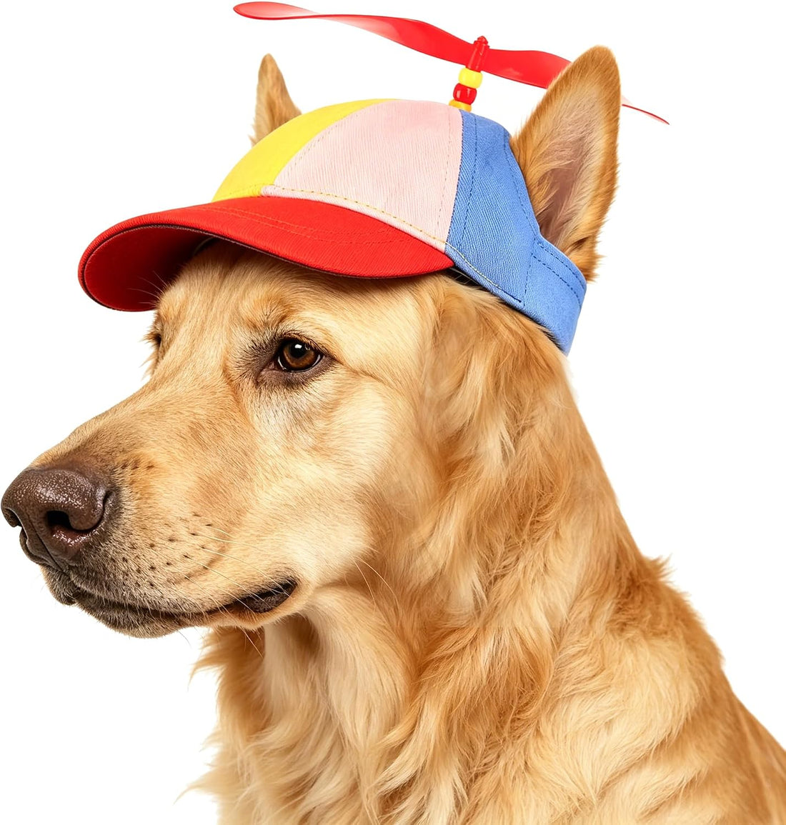 Propeller Baseball Cap for Big Dogs & Cats