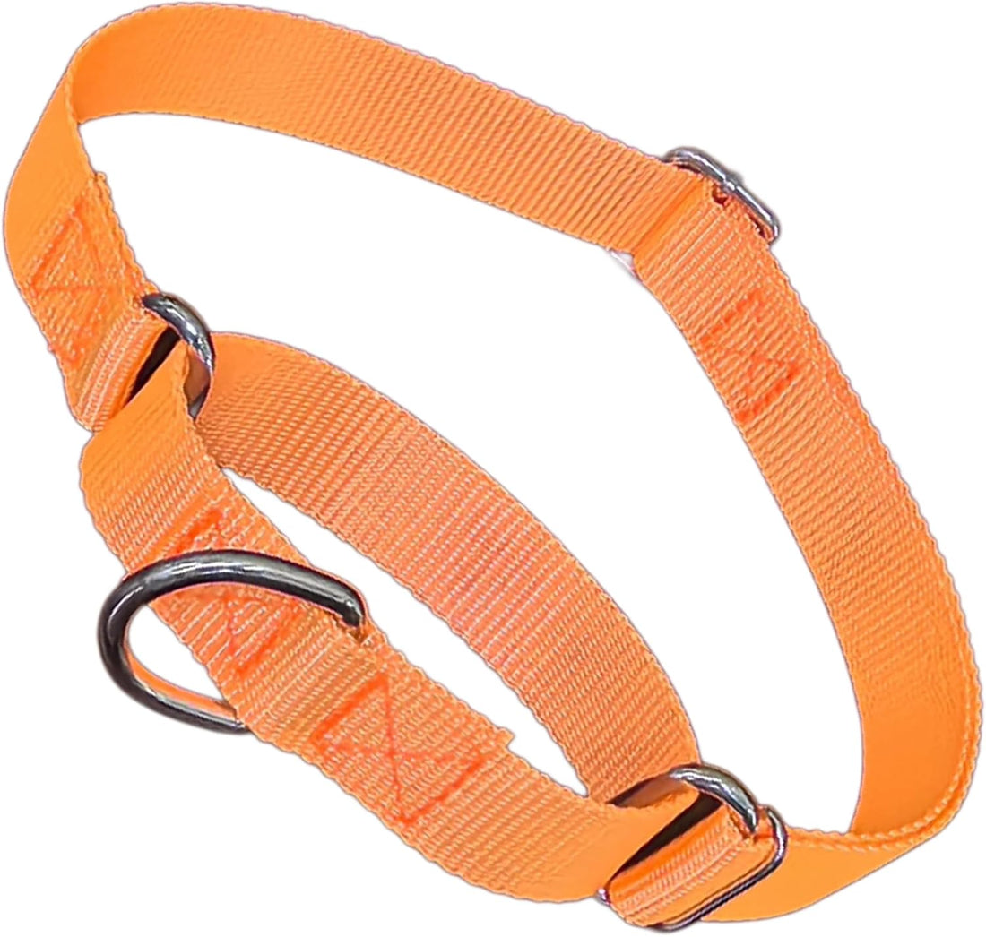 Martingale Collar for Dogs Choke Dog Choker Collars, Purple M