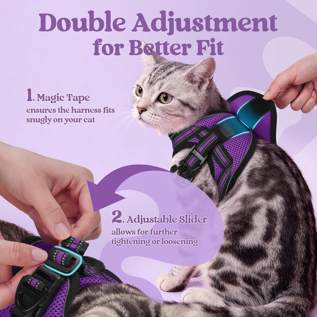 rabbitgoo Cat Harness and Leash