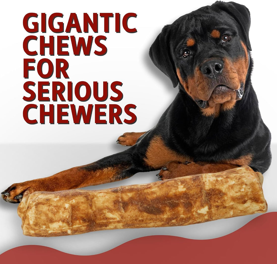 Canine Chews 10-11" MEGA Retriever Rolls Natural Rawhide for Big Dogs