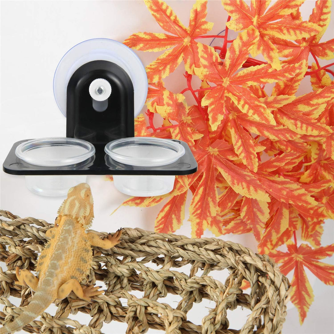 SLSON Gecko Feeder Ledge Acrylic Improved Suction Cup Reptile Feeder