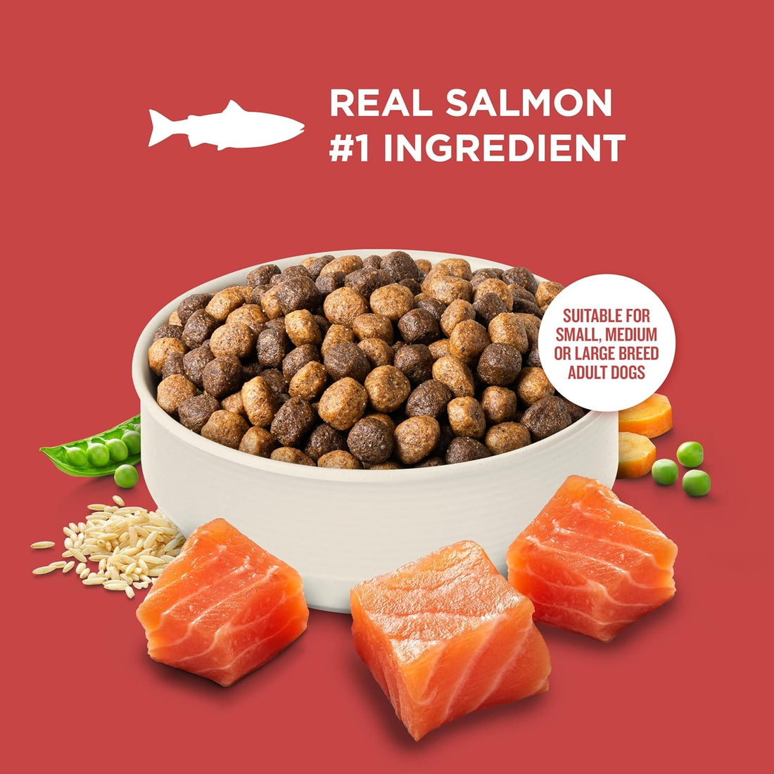 Nutrish Salmon Dry Dog Food, 12 lb. Bag (Rachael Ray)