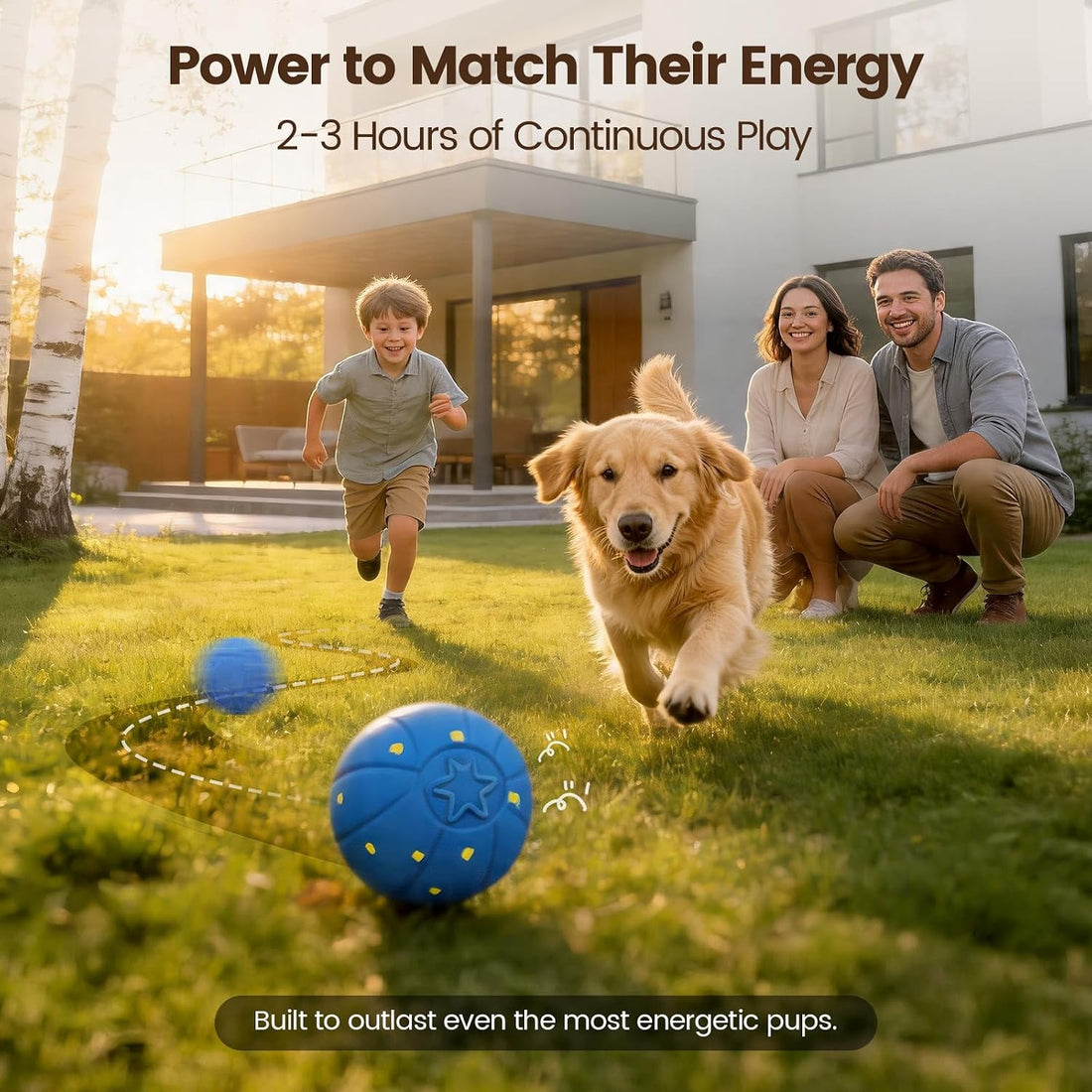 Invengo Interactive Dog Ball