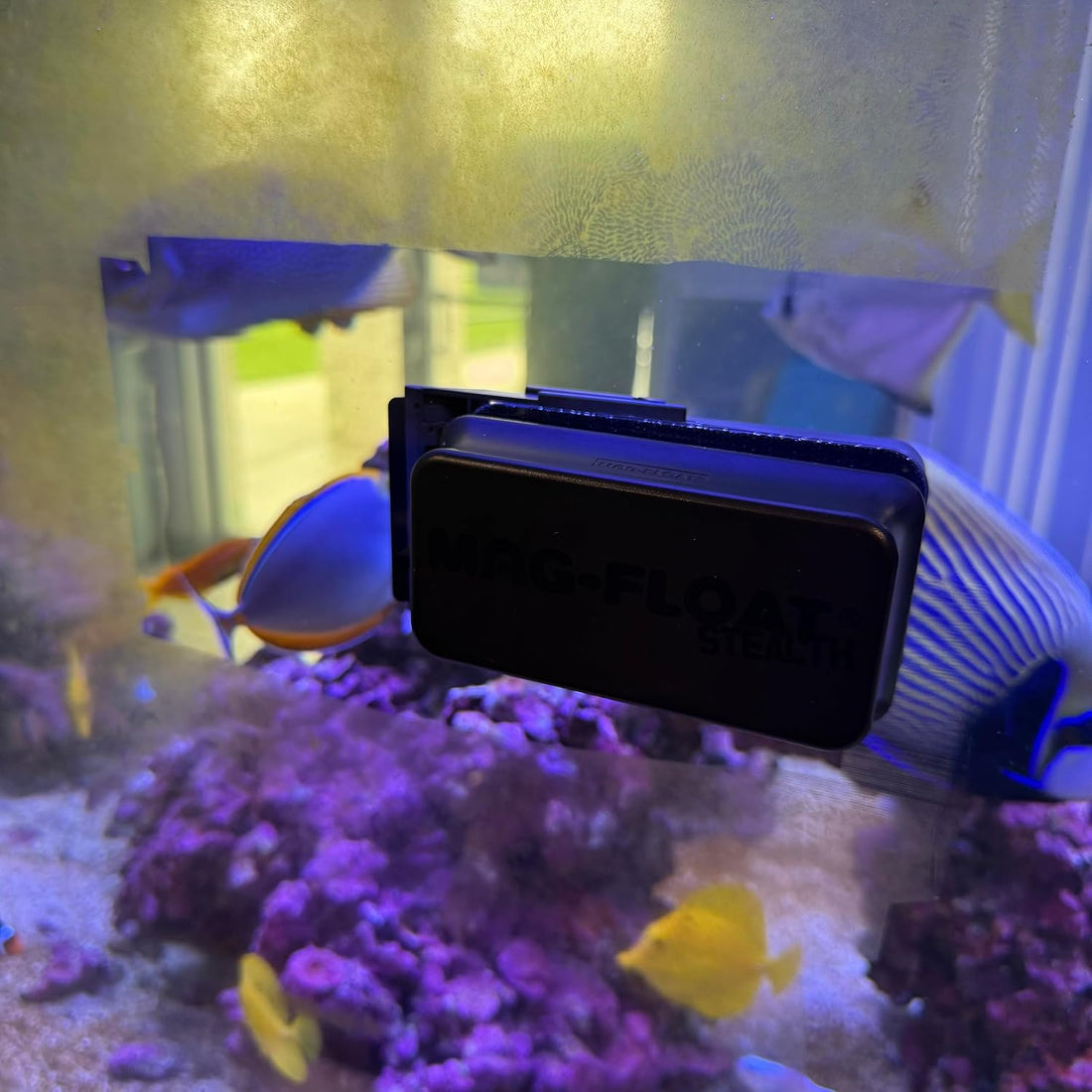 Mag-Float Medium Black Stealth Glass Magnet Aquarium Scraper Cleaner