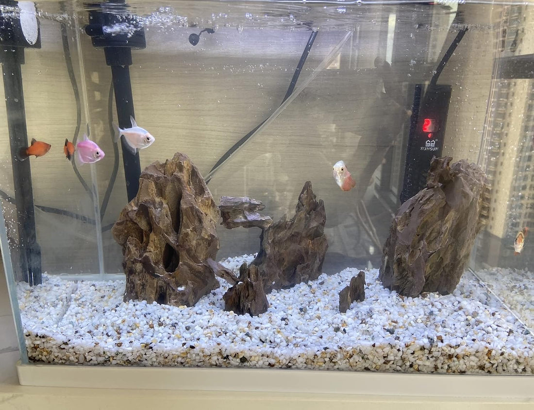 AWXZOM Natural Dragon Rock Carefully Selected Mixed Sizes