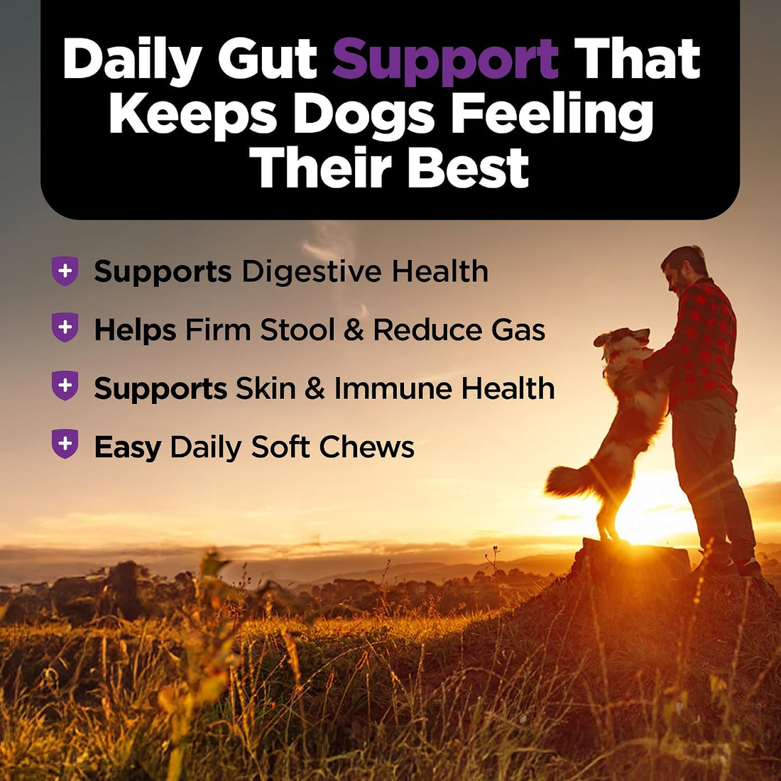 Nutri-Vet Pre & Probiotics for Dogs, Digestive Support, Upset Stomach