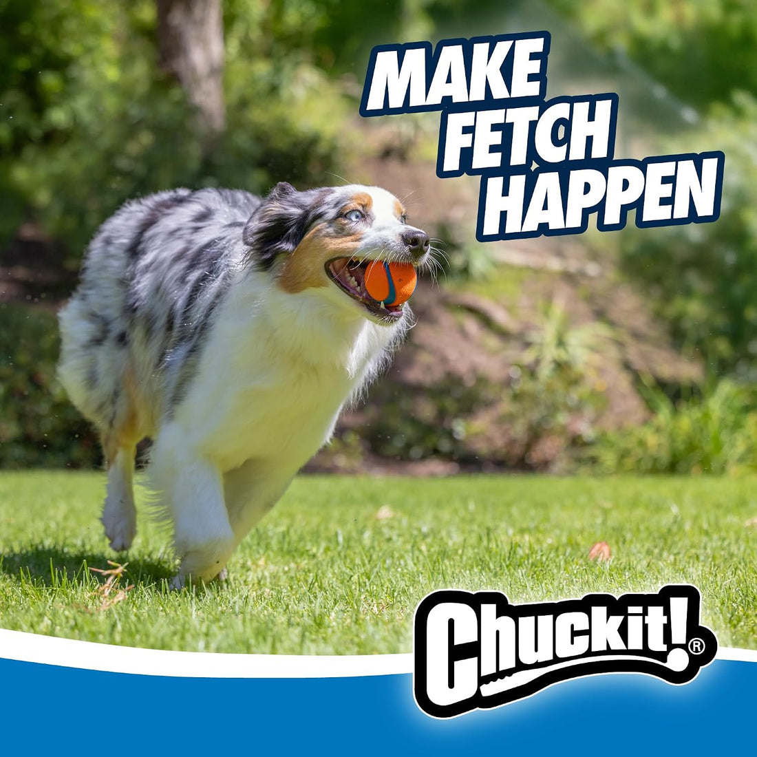 Chuckit! Ultra Rubber Dog Ball, Floating Fetch Toy, Medium 2.5-in