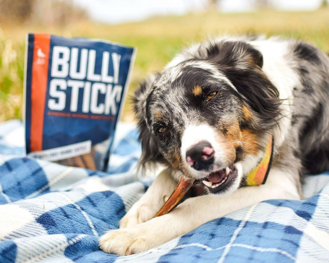 Wild Wolf 12-inch Angus Bully Sticks Healthy, All-Natural