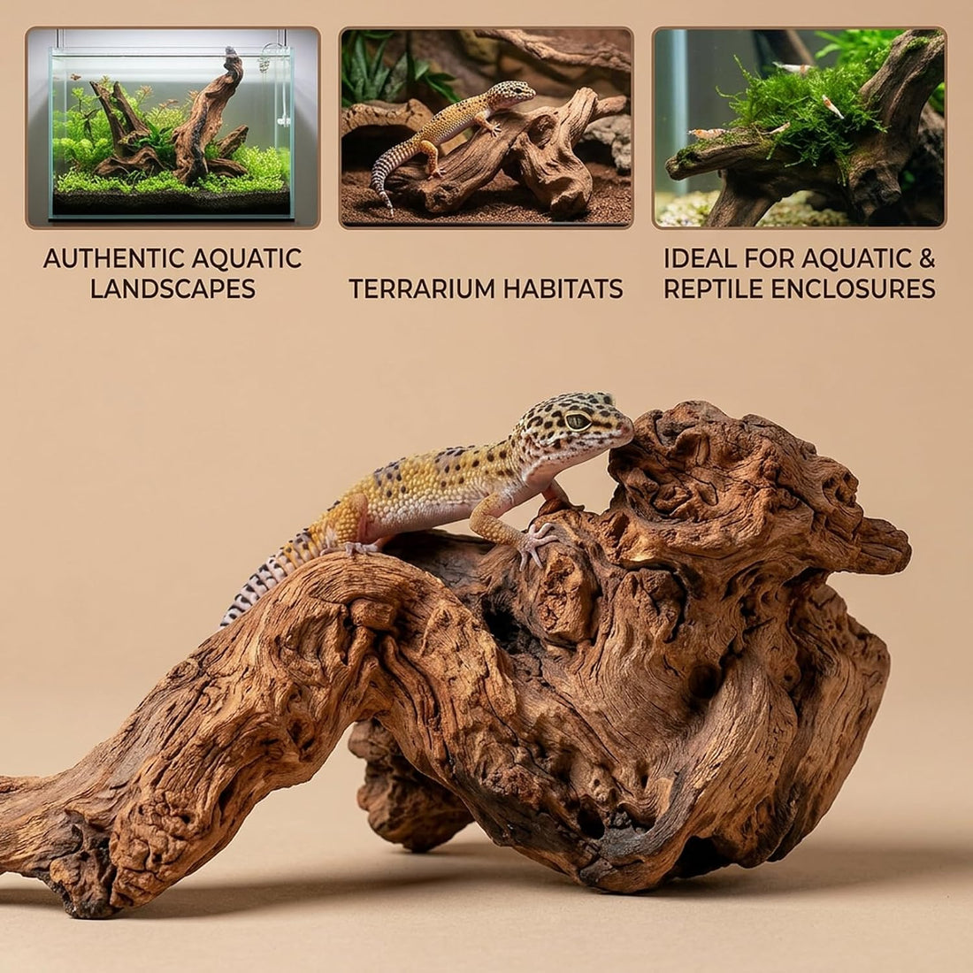 12PCS Driftwood for Aquarium, Wood Decor for Aquascaping