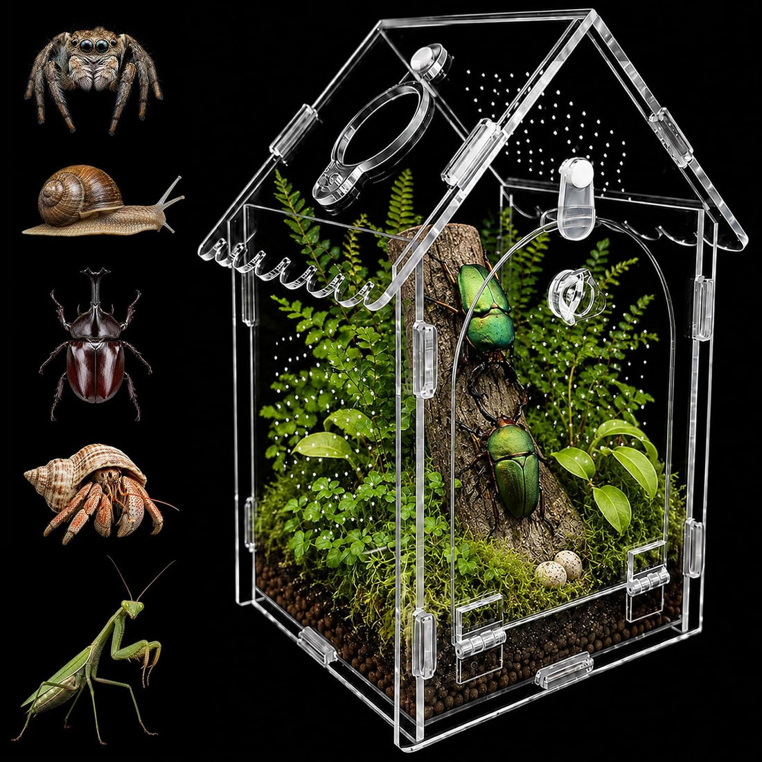 Jumping Spider Enclosure, House-Shaped Acrylic Habitat, Magnetic Door