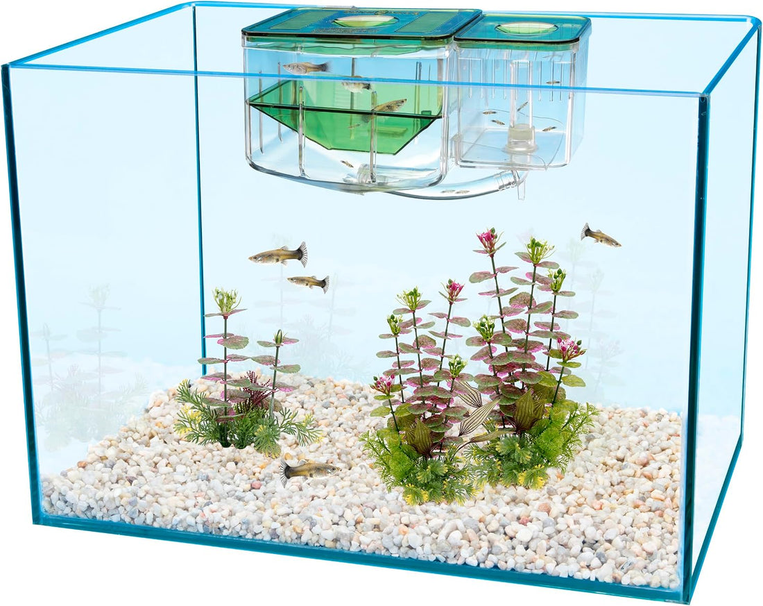 Penn-Plax AN2 Aqua Nursery and Hatchery Breeding Box for Your Aquarium