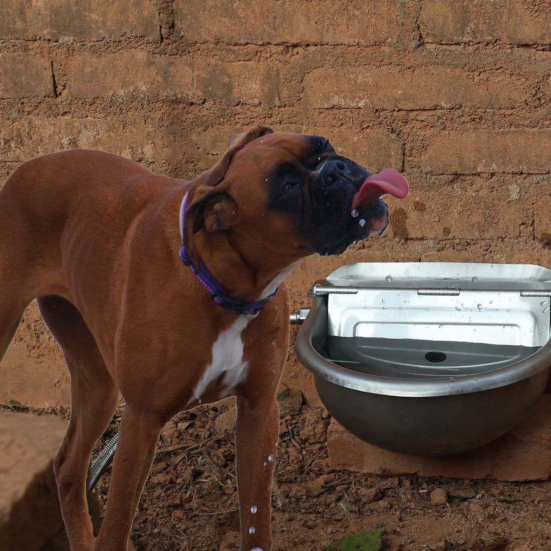 Automatic Dog Water Bowl Dispenser Large Pet Waterer Feeder