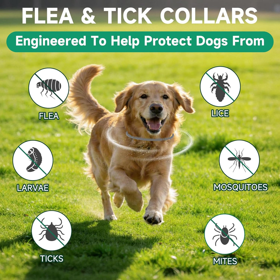 4 Pack Flea Collar for Dogs, 32 Months Flea and Tick Prevention
