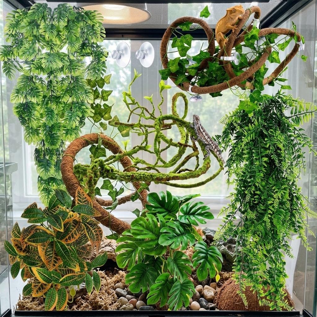 Reptile Plants for Terrarium Tank