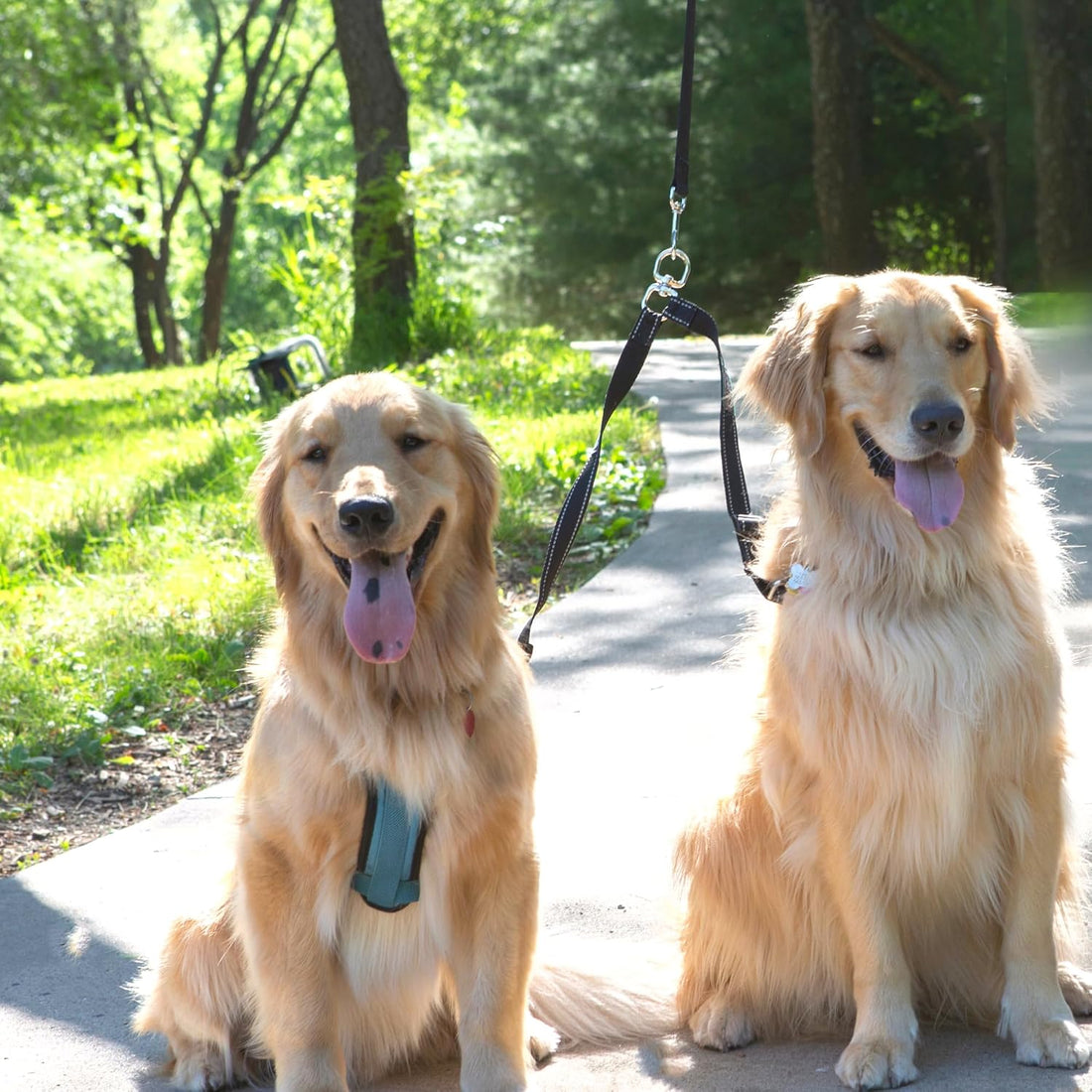 Caldwell's Pet Supply Co. Leash Coupler