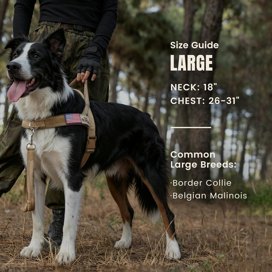 Forestpaw No Pull Dog Harness with Large Handle,Comfortable,L