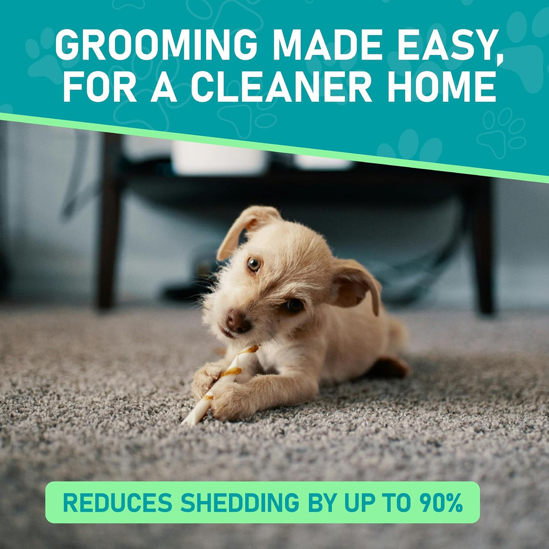 Maxpower Planet Pet Grooming Brush