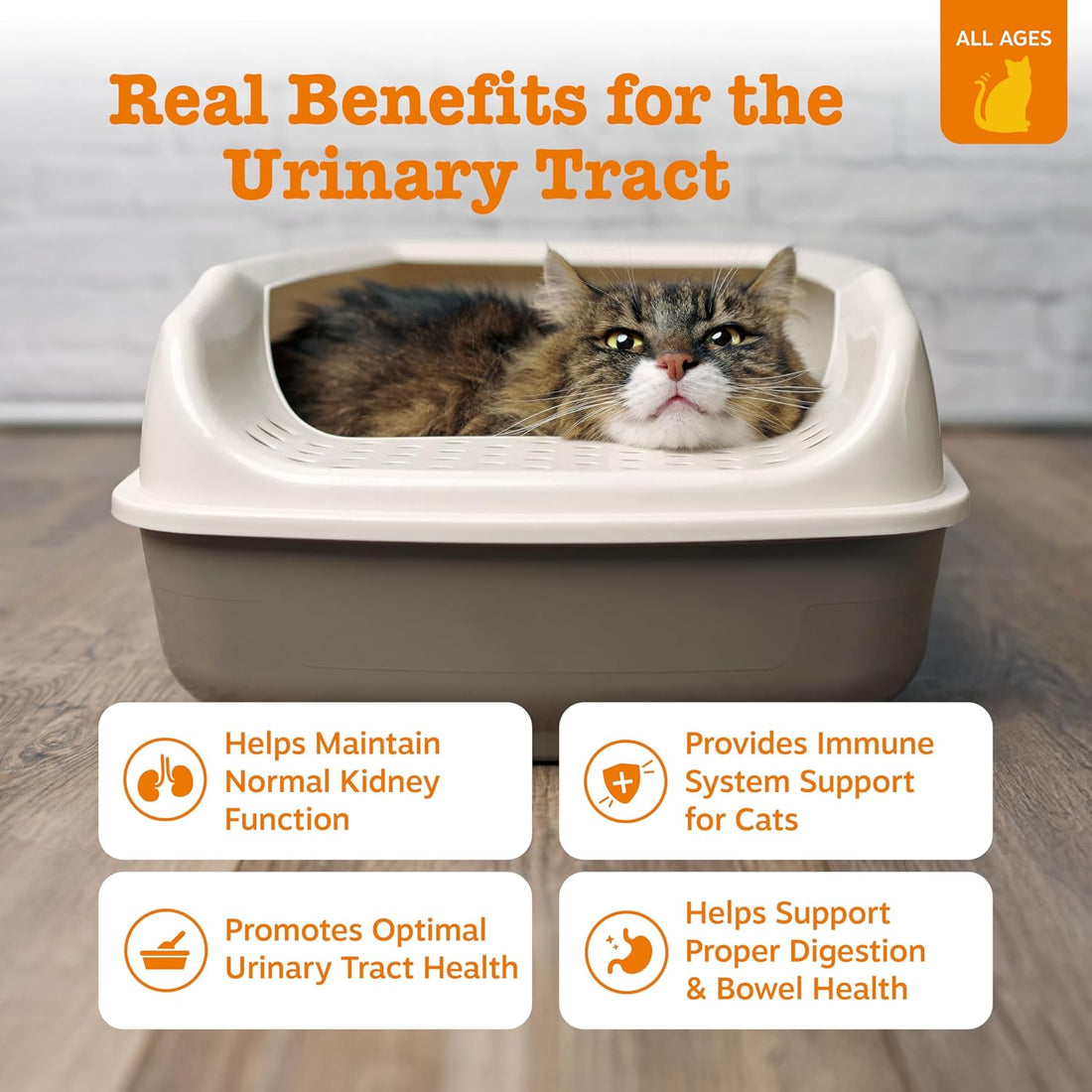 Zesty Paws Cat Urinary Supplement Mousse - Chicken, 14 Ct