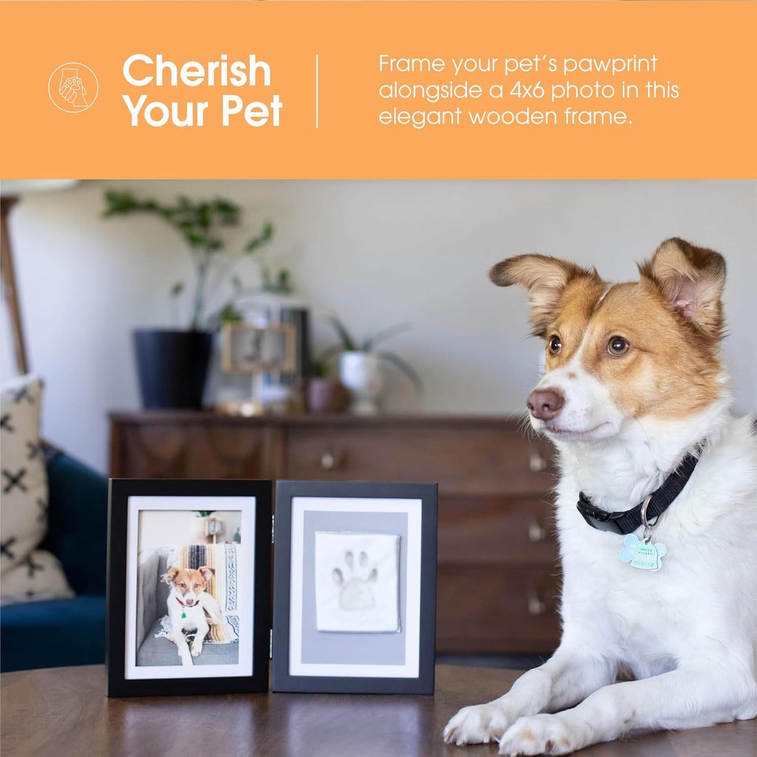 Pearhead Pet Paw Print Photo Frame With Clay Imprint Kit